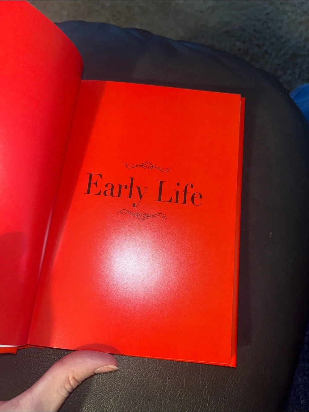 Christian Louboutin Table Book 📕- New